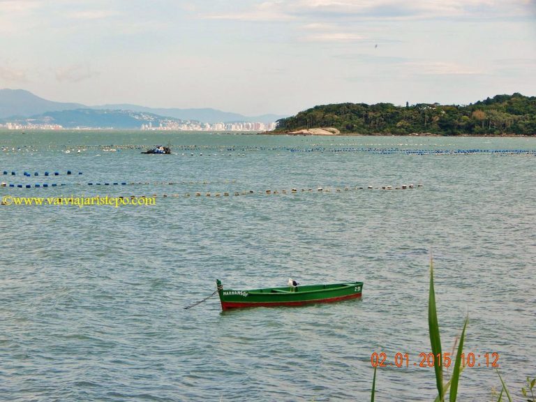 Ribeirão da Ilha - Paisagem ao cair da tarde.