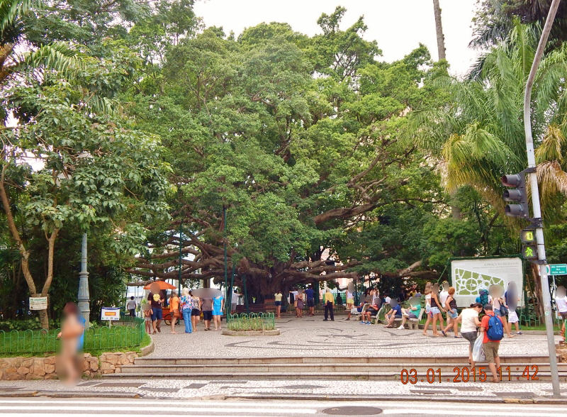 Florianópolis - Dez 2014 (77) (800x588)