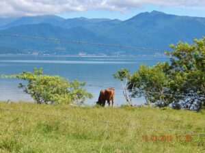 Ribeirão da Ilha