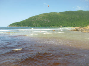 Nesta foto, vemos as ondas da Praia do Matadeiro, ao fundo, juntamdo-se às águas do Rio Quinca Antonio.