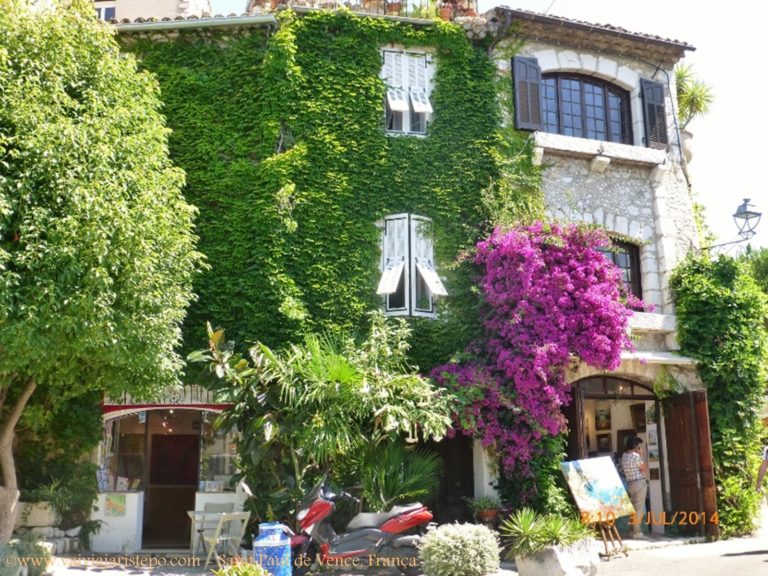 A Provence é ensolarada e seu colorido é resultante das flores cultivadas nos campos e daquelas que ousam escalar janelas e balcões.