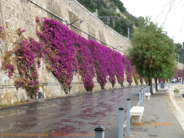 Villefranche-sur-mer. Villefranche-sur-mer.