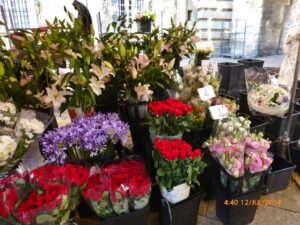 Feira só de flores na Praça da Prefeitura (Mairie).