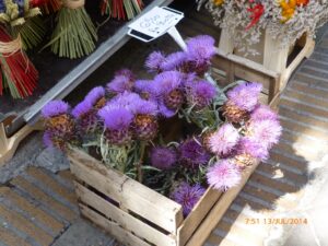 Flores provençais.