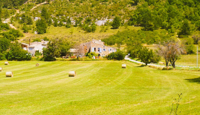 À beira da estrada, a caminho de Sault.