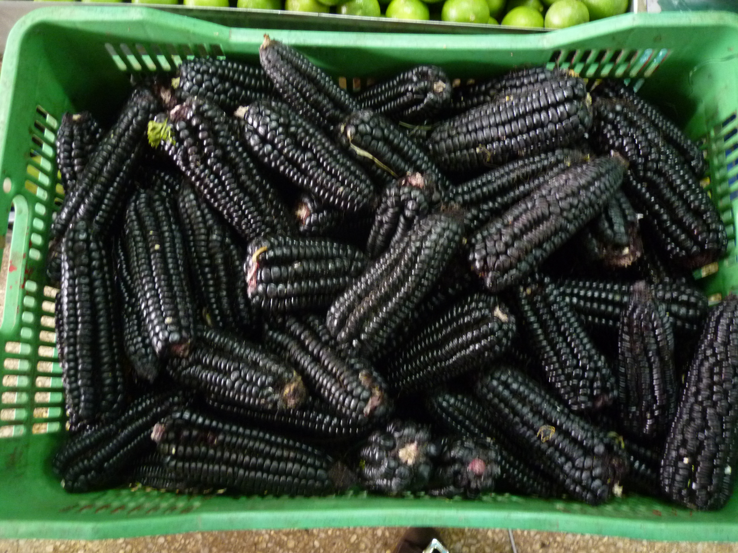 MIlho roxo, uma das 35 espécies diferentes cultivadas no Peru.Com este milho prepara-se um suco delicioso chamado chicha morada que bebi prá valer enquanto viajei pelo país.