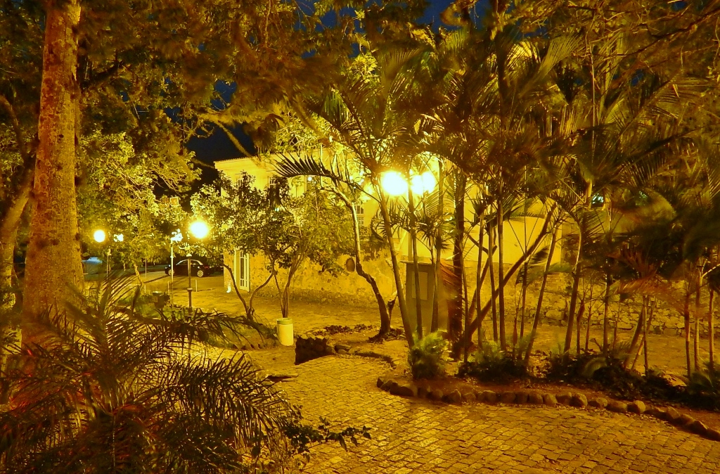 dscn2973-1024x674