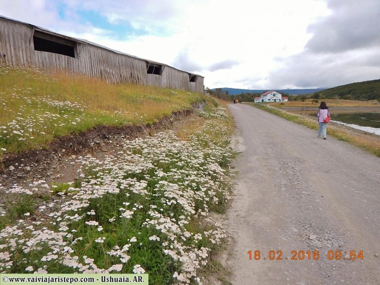A caminho do Museu Acatushún.