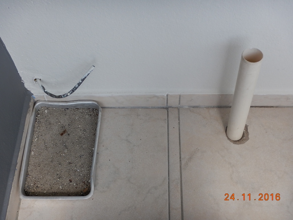 Um tabuleiro cheio de areia imunda no chão da varanda, um cano sem tampa ... Um fio solto na parede...