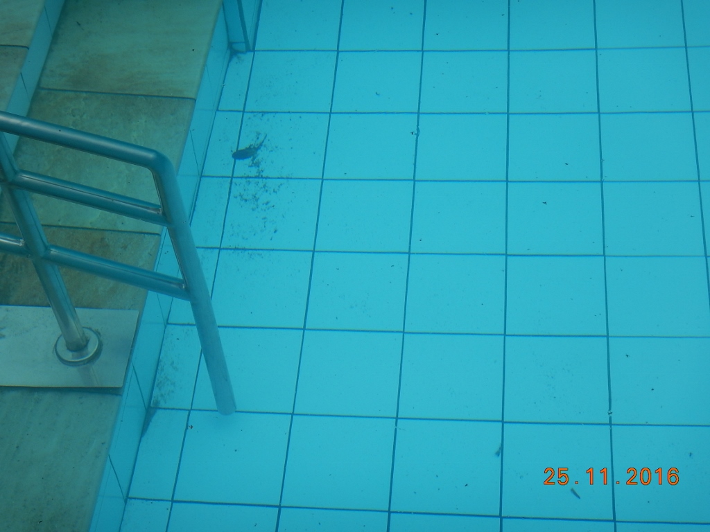 A sujeira da piscina do hotel cascão.