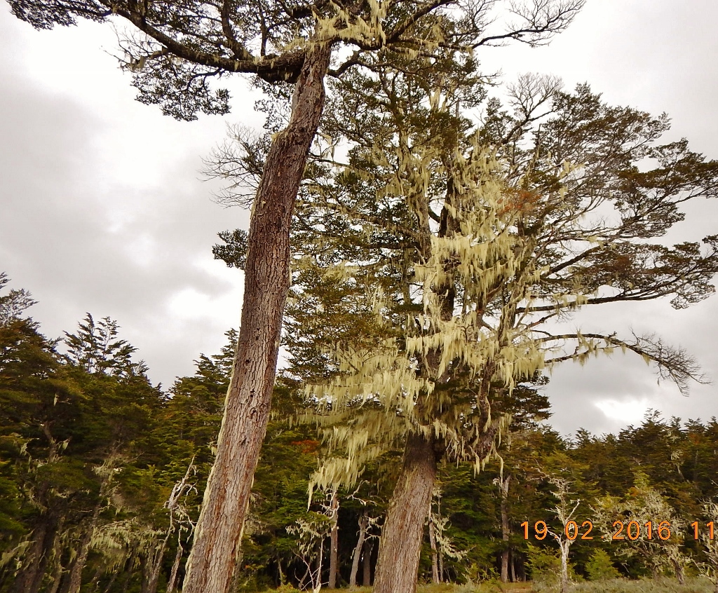 dscn0214-1024x846