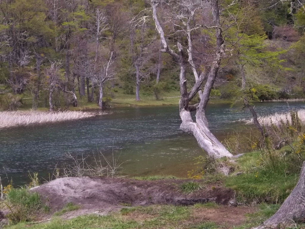 Lago Correntoso. Lago Correntoso.