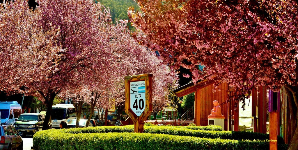 Centro da cidade de San Martín de Los Andes. Clique de Rodrigo Cardoso. De mais a mais, não lhe basta ser um viajante incansável. Rodrigo é apaixonado por fotografia e por este motivo procura sempre clicar os melhores ângulos.