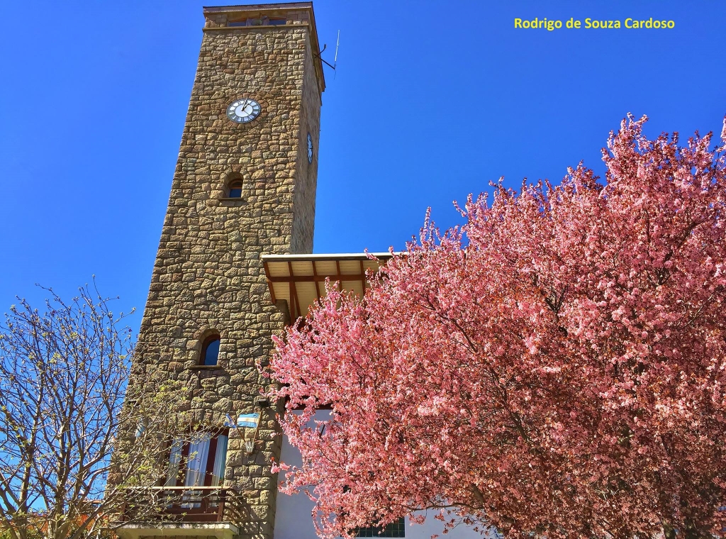 Torre do relógio no Centro de San Martín de los Andes. Torre do relógio no Centro de San Martín de los Andes.