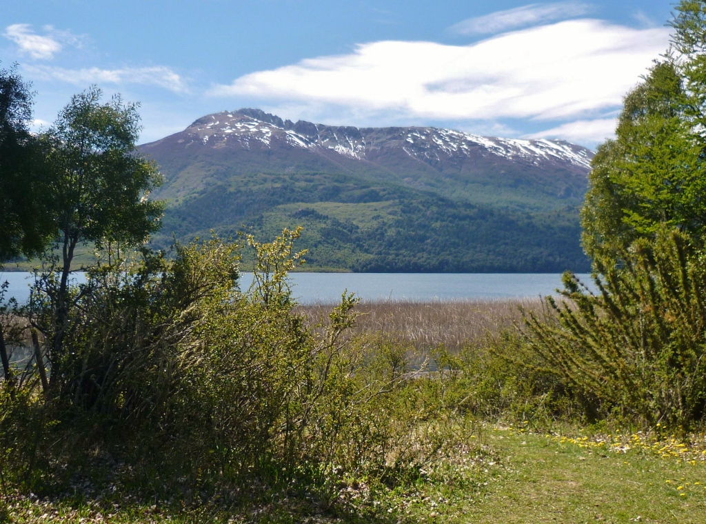 Camping los Cesares Camping los Cesares