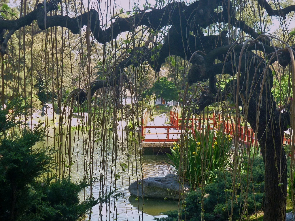 O jardim é muito bonito e rende belas fotos mesmo que você não seja lá essas coisas como fotógrafo - meu caso.