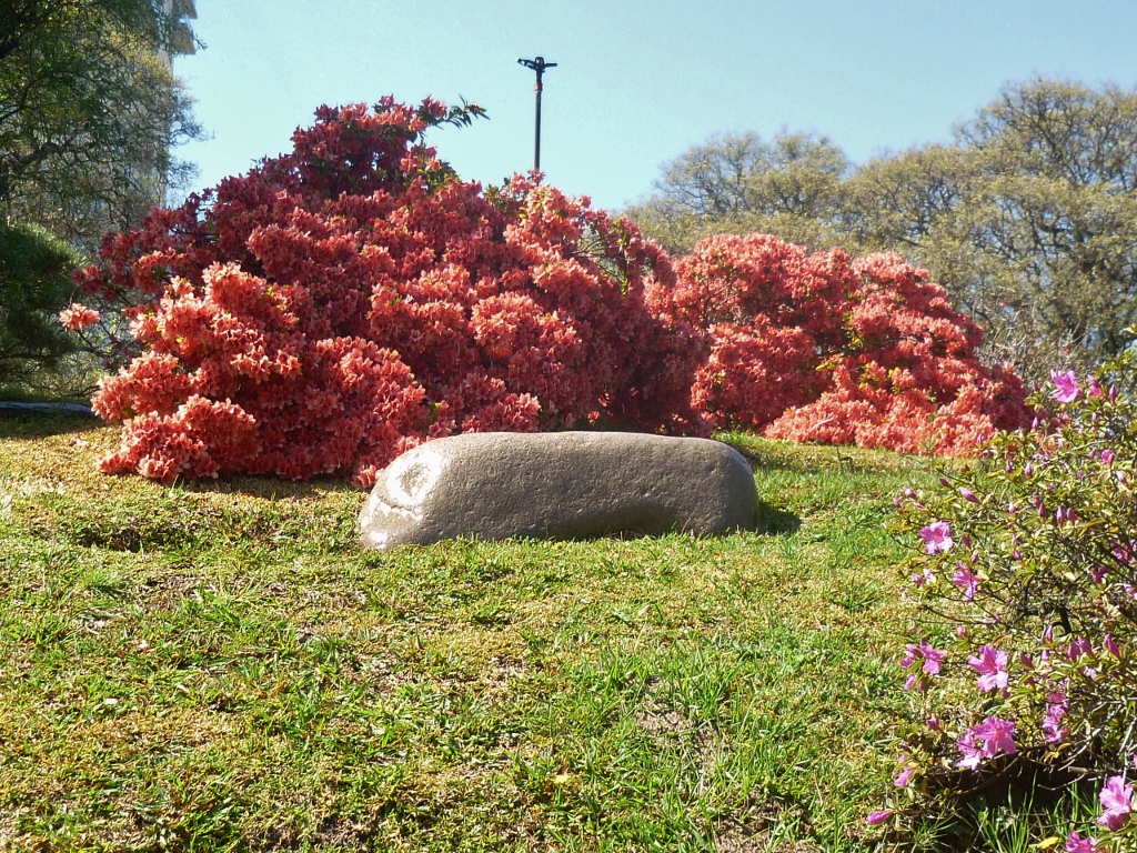 Observem esse manto de azaléas alaranjadas na foto acima. Imagine essa maravilha ao vivo!