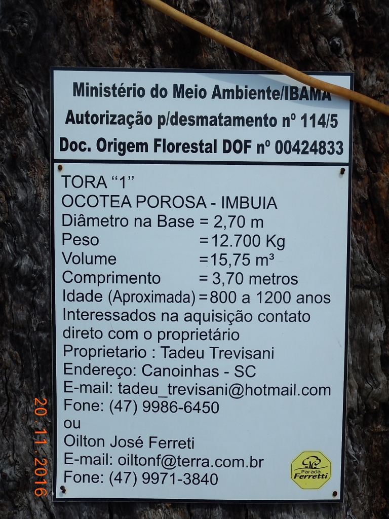 No estacionamento está este tronco em exposição com as seguintes especificações: