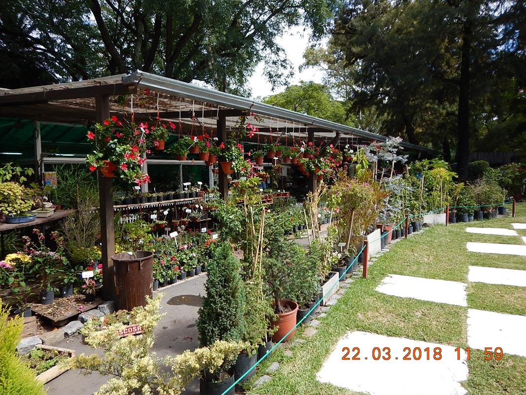 O que permanece? O restaurante, a boutique de vendas de mudas de flores, arbustos, árvores etc.