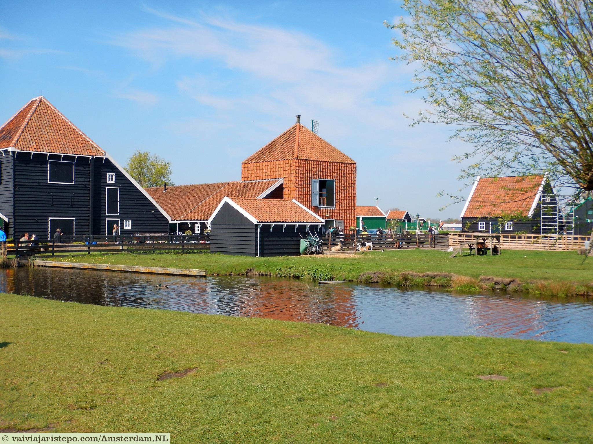 Outro aspecto do Parque Zaanse Schans.