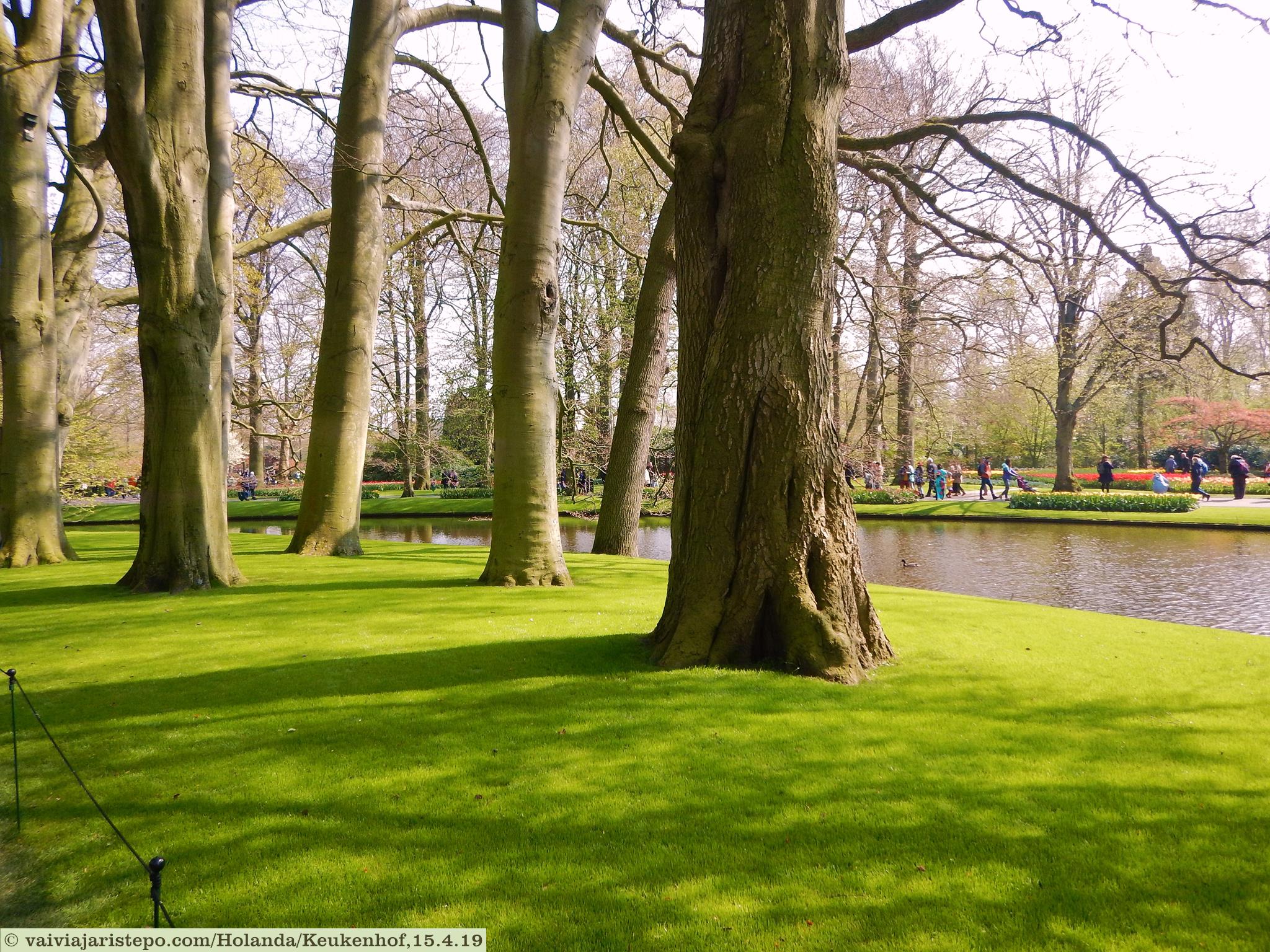 Keukenhof . Lisse . Holanda. Keukenhof . Lisse . Holanda.