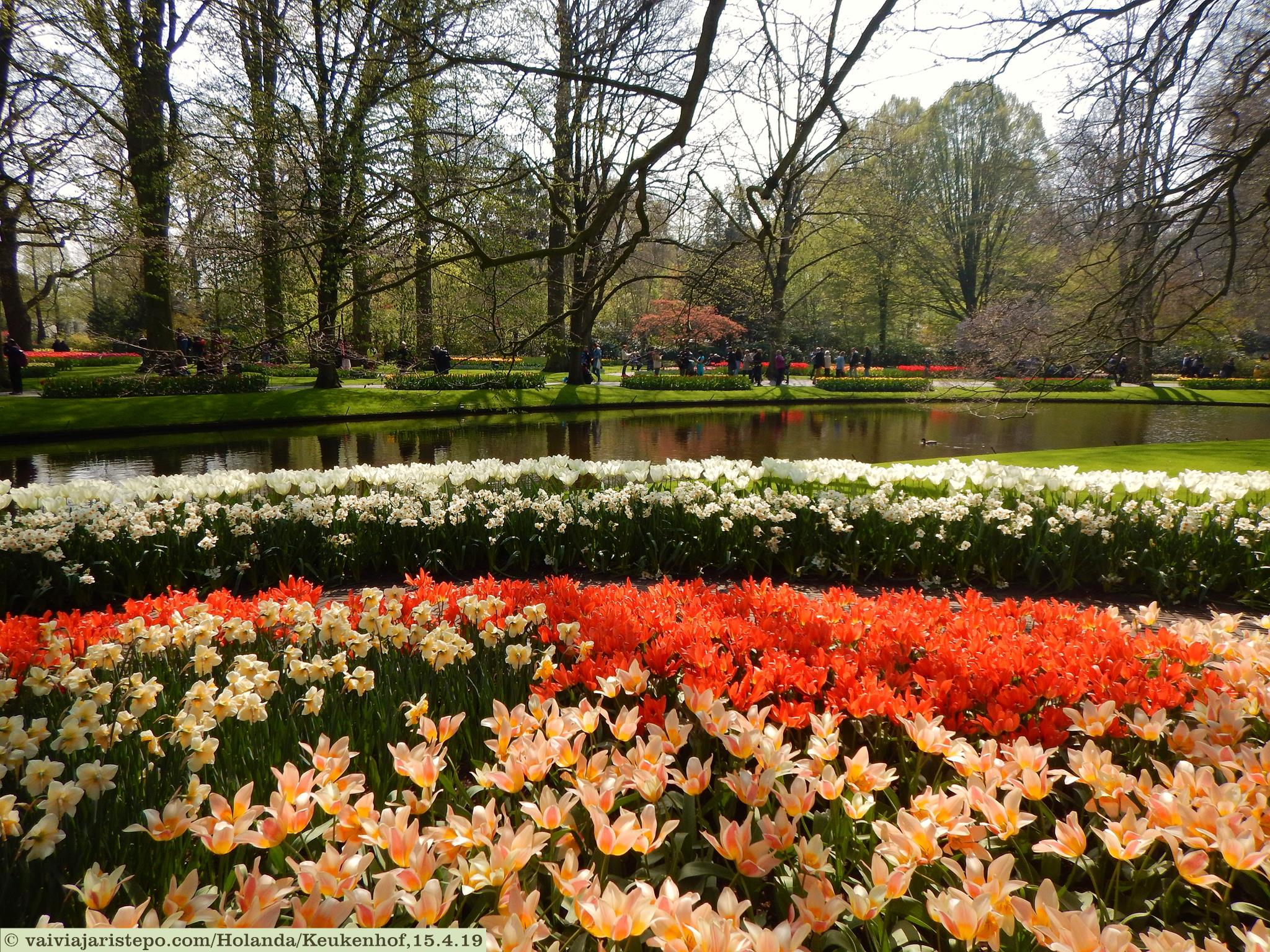 Keukenhof . Lisse . Holanda. Keukenhof . Lisse . Holanda.