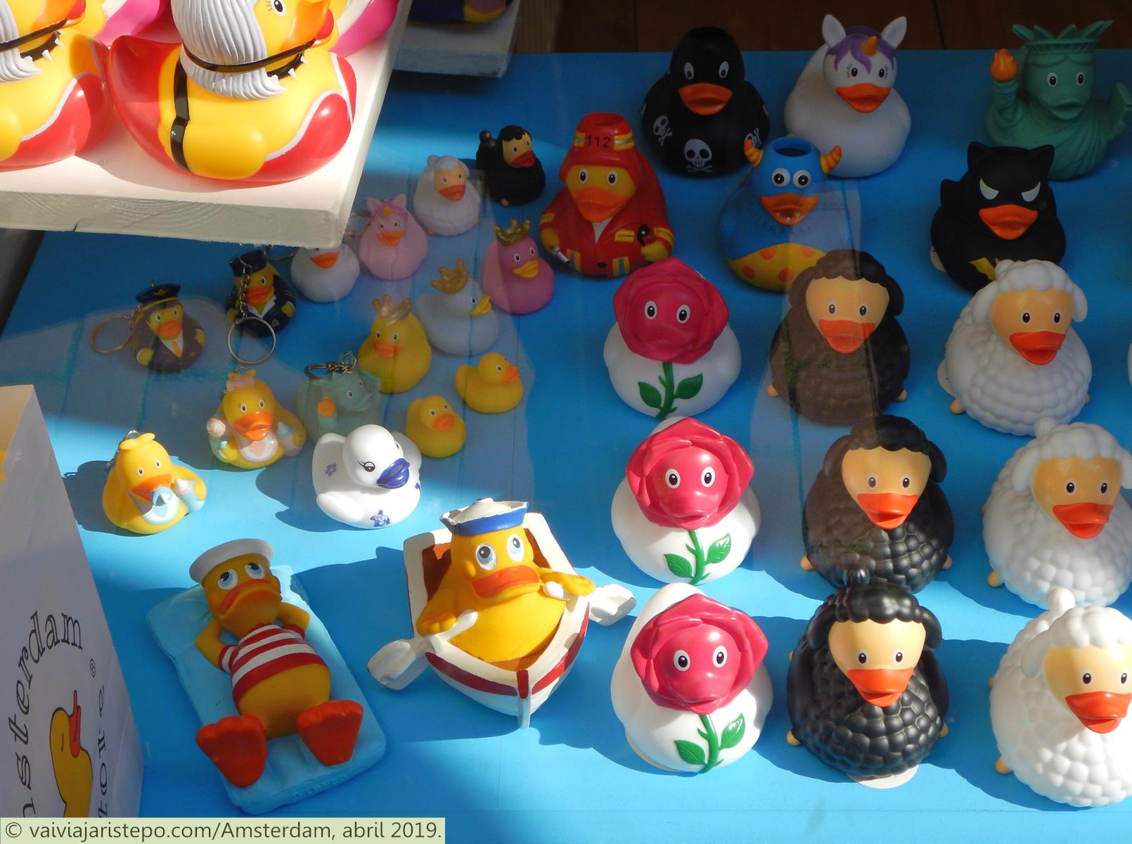 Duck Store