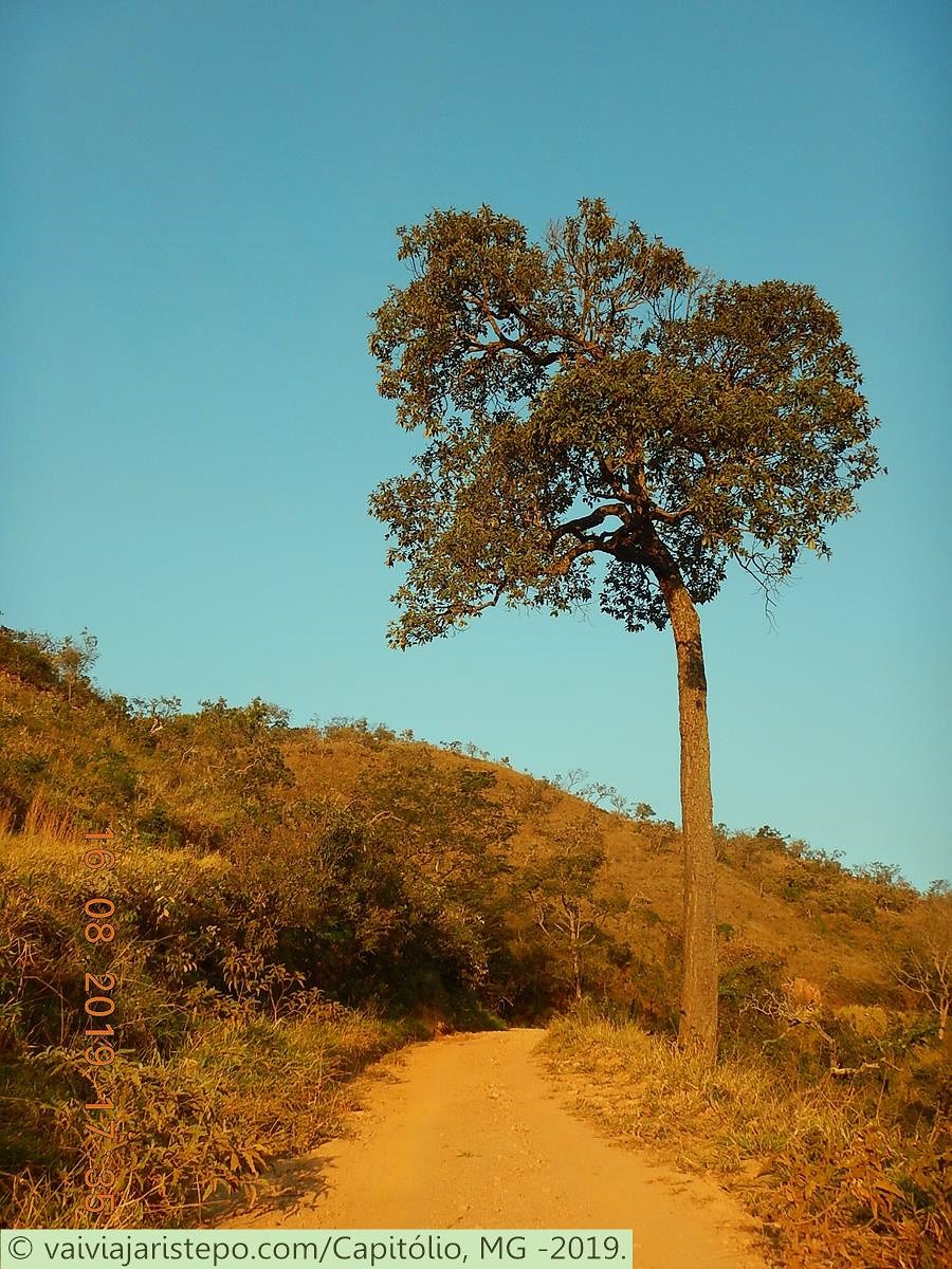 As cores da natureza...