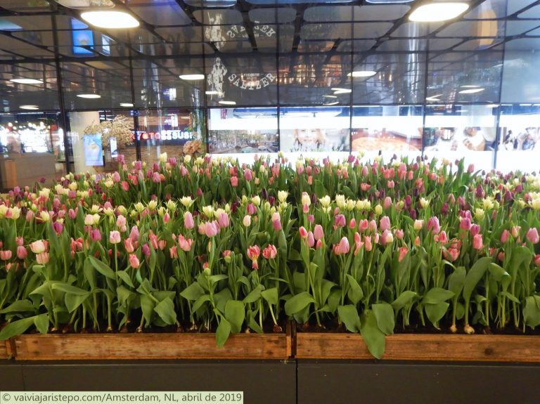 Canteiro de tulipas no interior da Centraal Station. Lembra muito a Central do Brasil, no Rio de Janeiro - Hein?