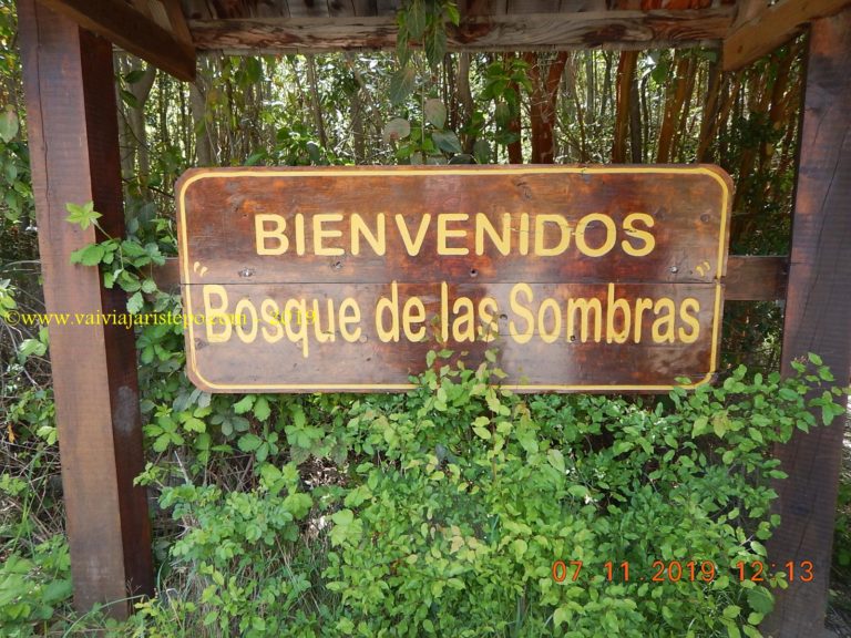 Bosque de las Sombras. Bosque de las Sombras.