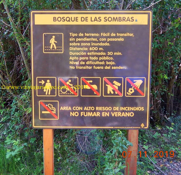 Bosque de Las Sombras.