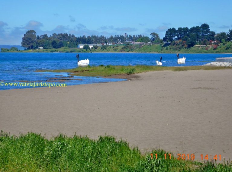 Lago Llanquihué Lago Llanquihué