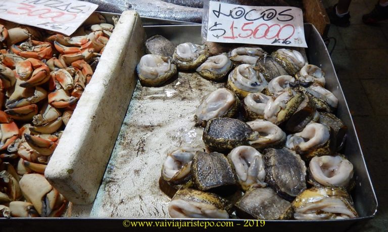 Locos. Mercado Central Santiago do Chile. Mercado Cetral.