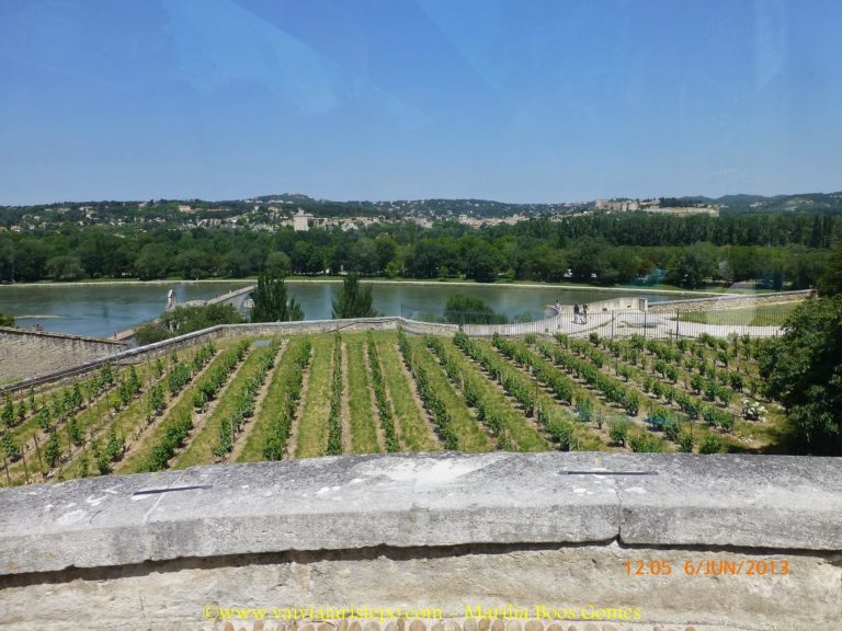 Rio Ródano., Avignon - Rio Ródano.