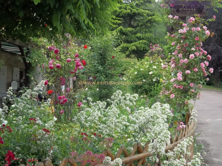 A caminho da Casa e Jardins de Claude Monet. A caminho da Casa e Jardins de Claude Monet.