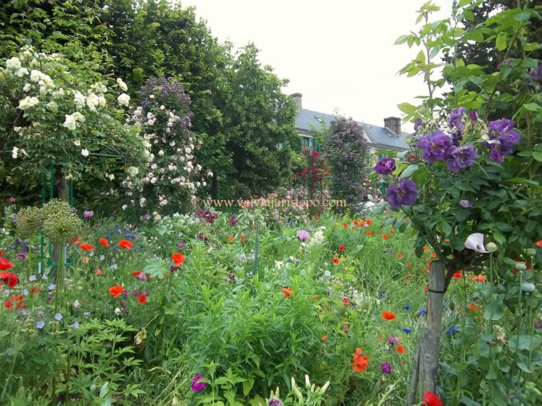Jardins de Giverny. Fundação Claude Monet.