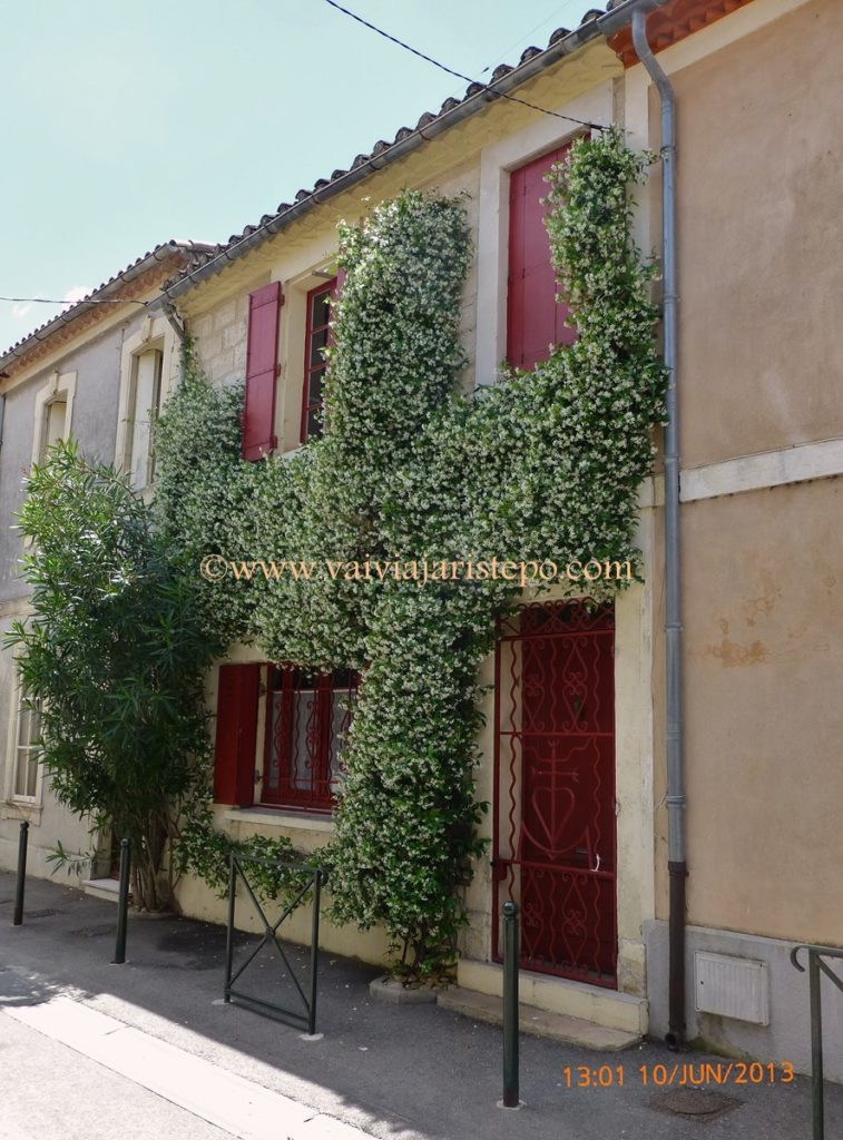 Rua de Aigues-Mortes. Rua de Aigues-Mortes.
