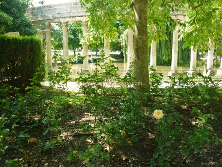 Parte do jardim do Museu Camondo.
