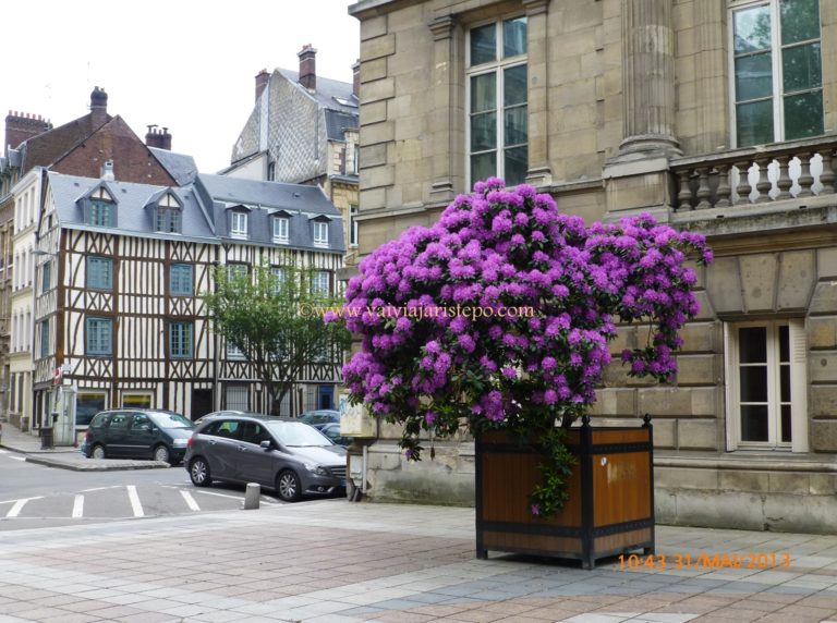 Museu de Belas Artes, localizado em frente à Square Verdrel, na Espl. Marcel Duchamp, 76000 Rouen, França. Museu de Belas Artes, localizado em frente à Square Verdrel, na Espl. Marcel Duchamp, 76000 Rouen, França.