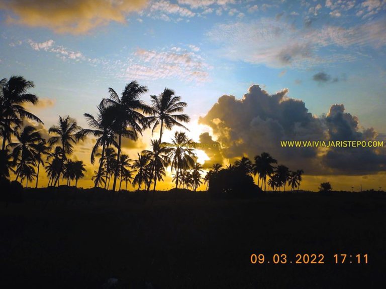 Por do Sol no coqueiral de Maracaípe.